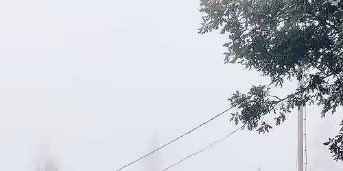 Kaalikioskin satokauden avajaisjuhla 