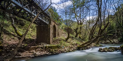 \u039c\u03ad\u03b3\u03b1 \u03a3\u03c0\u03ae\u03bb\u03b1\u03b9\u03bf-\u0396\u03b1\u03c7\u03bb\u03c9\u03c1\u03bf\u03cd -\u03954-\u0392\u03bf\u03c5\u03c1\u03b1\u03b9\u03ba\u03cc\u03c2-\u039a\u03b1\u03bb\u03ac\u03b2\u03c1\u03c5\u03c4\u03b1\ud83c\udf3f