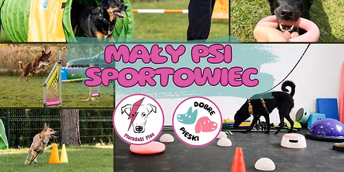 Ma\u0142y psi sportowiec - kwiecie\u0144 2026