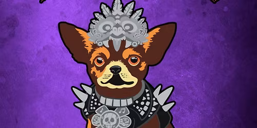  Metalachi live at The Holding Company 