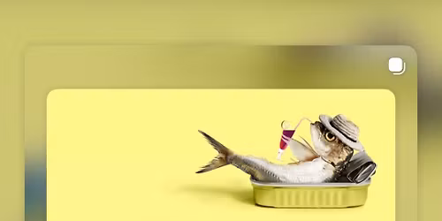 Week 1 Shakedown Tuscany 4 Phish @ Sphere