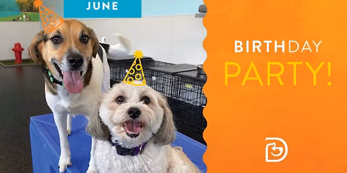 June Birthday Party at Dogtopia Warwick