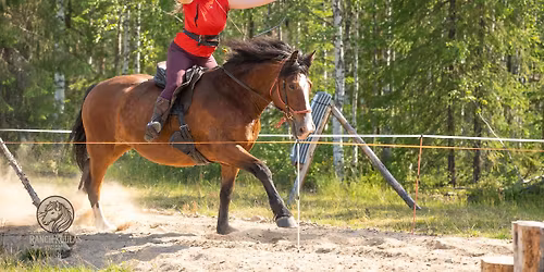 Horseback Archery Training Camp with Anni Jauhiainen in Lapland 2026