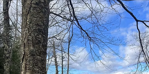 Crepuscular Creature Appreciation - National Trails Day!!