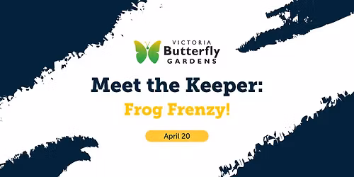 Meet the Keeper: Frog Frenzy 