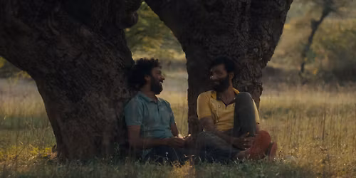 CACTUS PEARS \/\/ RAINBOW SCREEN FESTIVAL