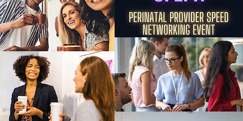 2nd Annual Perinatal Provider Speed Networking Event