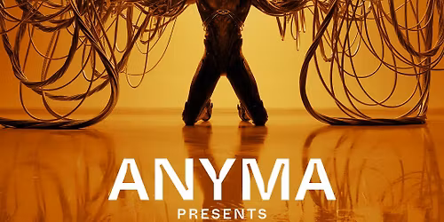 Anyma at Silverworks Island