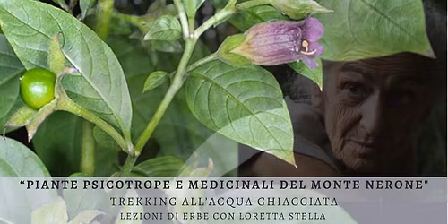 Loretta Stella: Piante Psicotrope e Medicinali di Monte Nerone - Il Fosso dell'Acqua Ghiacciata