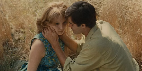 MatchCut Film Club Presents : Le Bonheur