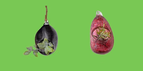 Glass Blowing Class - Terrarium 8\/2\/26 (time slots)