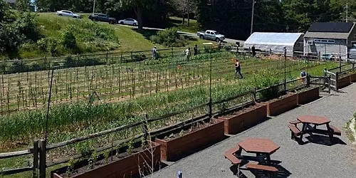 Roots of Salem: A Demonstration of Indigenous Foodways