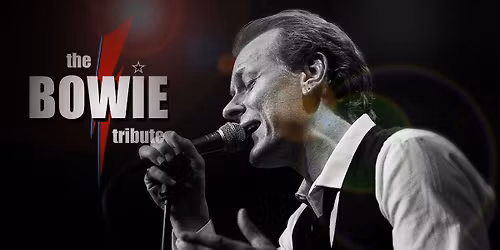 the BOWIE tribute - Kulturhuset islands brygge -  Celebrating 80 years of Bowie