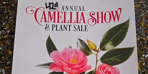 42d Annual Camellia Show