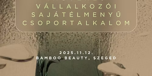 INGYENES V\u00c1LLALKOZ\u00d3I SAJ\u00c1T\u00c9LM\u00c9NY\u0170 CSOPORTALKALOM - Sikereink \u00e9s elakad\u00e1saink nyom\u00e1ban