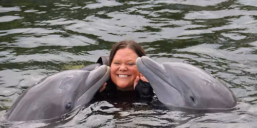 Dolphin Meditation \ud83d\udc2c