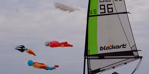 *Tentative *   The Dead Bird Buggy Bash and Kite Fly    *Tentative*