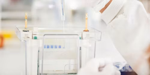 Immunoprecipitation & Western Blot and Careers Workshop