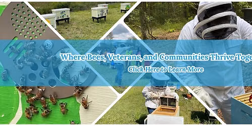 Honeybee Hive Tour