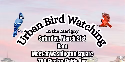 Urban Bird Watching in the Marigny