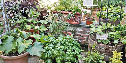 Who needs space? Your best garden ever in containers.