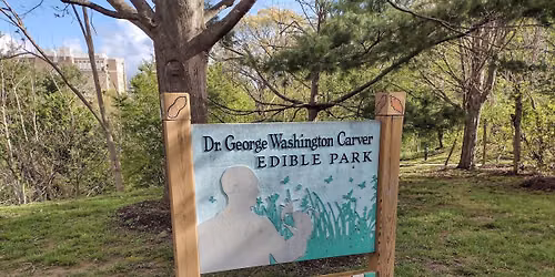 Dr. George Washington Carver Edible Park Workday