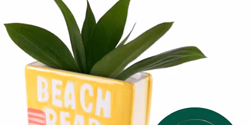 Plot Twist Pottery at The Blackbird Books & Spirits