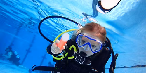 The perfect Christmas gift... PADI Seal Team Course