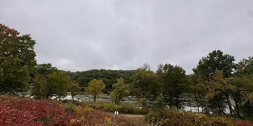 Gentle Morning Guided Group Forest Therapy