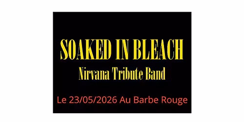 Concert de Soaked In Bleach Tribute Nirvana