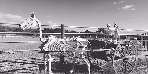 Horsemanship Over Obstacles: Halloween Edition