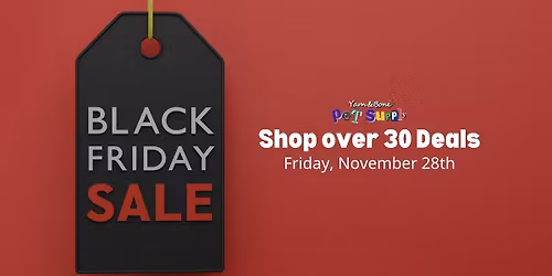 Black Friday Sale
