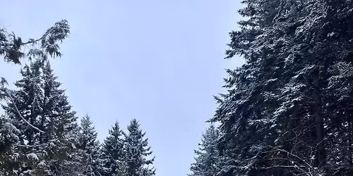 Women Hiking Rockwood Park