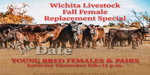 Fall Female Replacement Special