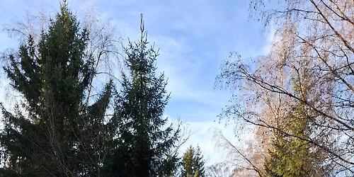 Eröffnung Weihnachtszauber am Stausee Riedelsbach 