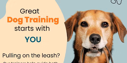 Basic Obedience Class