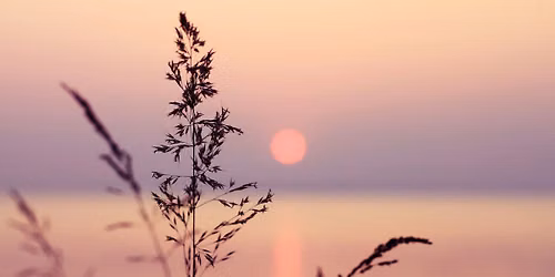 Community for Christian Meditation (in-person)