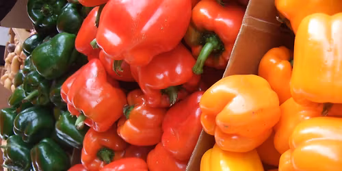 Winter Farmers Market & Brunch