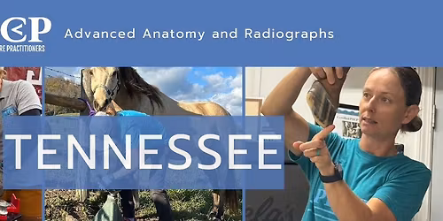 Advanced Anatomy and Radiographs \u2013 Tennessee