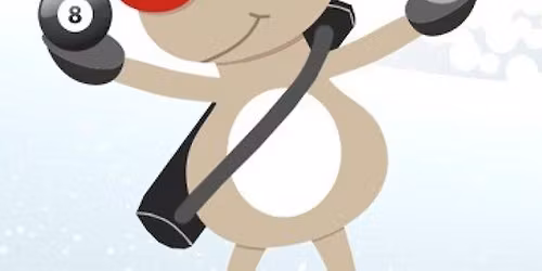 Adirondack APA Holiday Party\/Tournament