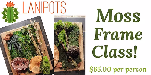 Moss Frame Class Tuesday 