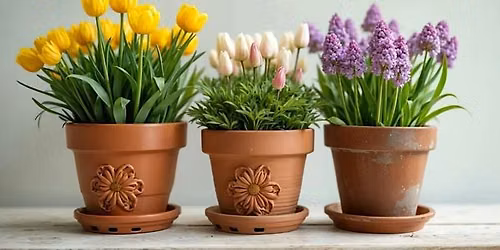 Planting Spring Bulbs in Containers