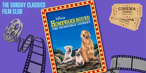 Sunday Classics Film Club HOMEWARD BOUND