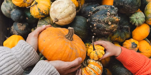 Grandparents\u2019 Day Harvest Festival