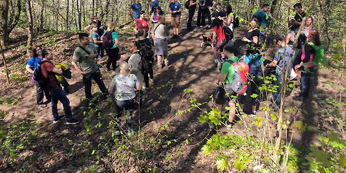 L\u00edn\u00e1 proch\u00e1zka - Po\u010dernick\u00fd z\u00e1mek