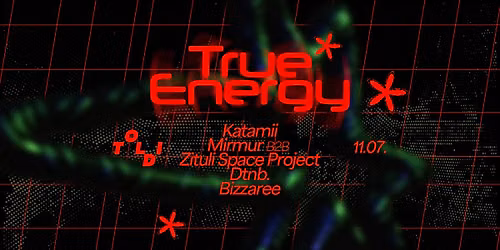 True Energy \/\/ TOLDI