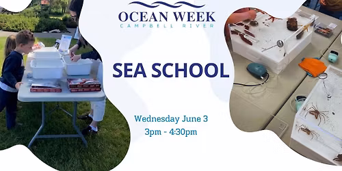 Sea School
