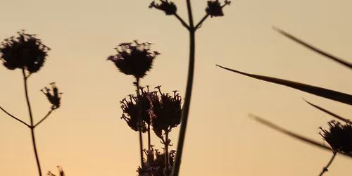 Saturday 16th May - Closed to the general public