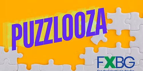 Puzzlooza