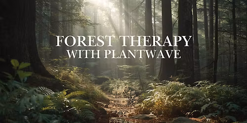 Master Forest Therapy With Living Plant Music and Sound Healing